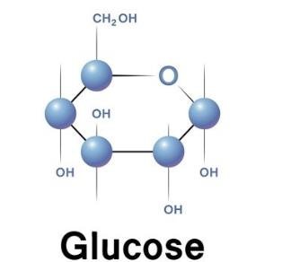 Equation for cellular respiration