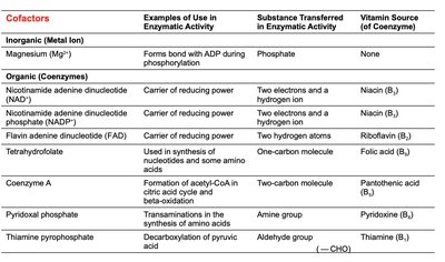 Table of enzyme cofactors and their functions