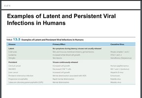 Examples of latent and persistent viral infections in humans