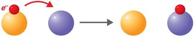 Simple redox reaction: electron transfer