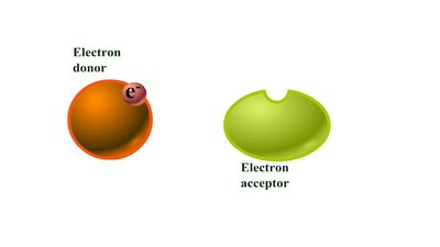 Electron donor and acceptor in a redox reaction