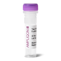 Taq DNA polymerase vial