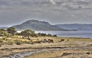 Alkaline lake environment