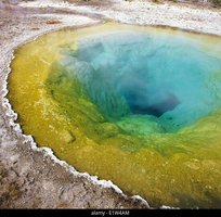 Hot spring with acidophilic microbes