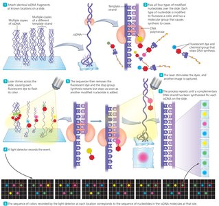 Next-Generation DNA Sequencing (NGS)