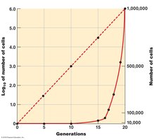 Growth curve for exponentially increasing population