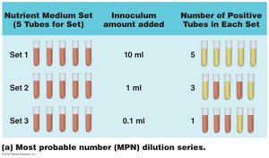 MPN dilution series