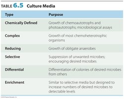 Types of culture media