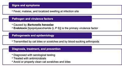Pseudomonas infection in a burn victim