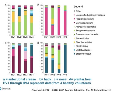 Bar graphs showing skin microbiome composition at different sites