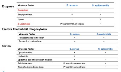 Table comparing virulence factors of S. aureus and S. epidermidis