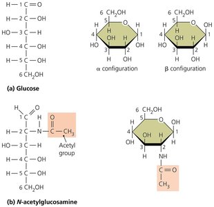 Monosaccharide structures