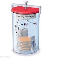 Anaerobic culture system