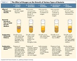 Table showing effect of oxygen on bacterial growth