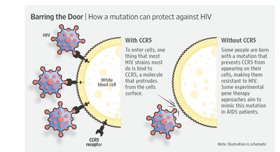 CRISPR-Cas9 gene editing mechanism