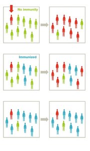 Diagram showing herd immunity