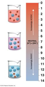 pH scale and solutions