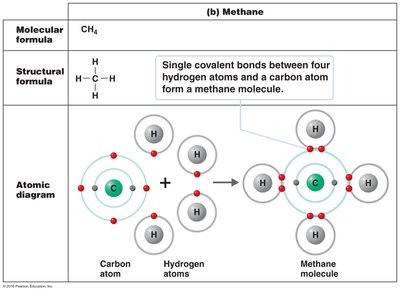 Covalent bond formation in methane
