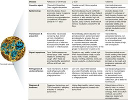 Atypical pneumonia disease snapshot table part 3