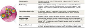 RSV disease snapshot table