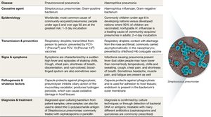 Typical pneumonia disease snapshot table