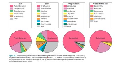 Microbial populations in different body sites