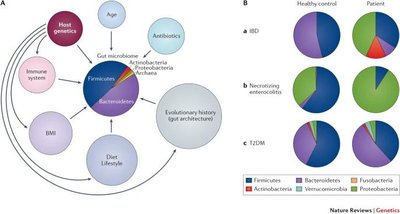 Microbiome composition and disease