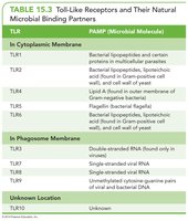 Table of Toll-like receptors and their ligands