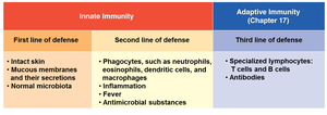 Comparison of innate and adaptive immunity