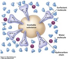 Action of a surfactant
