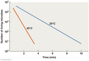Effect of temperature on the efficacy of an antimicrobial chemical