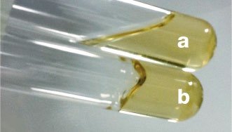 Exoenzyme degradation and substrate transport