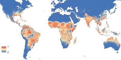 Global occurrence of Aedes aegypti mosquito