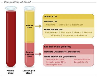 Composition of blood: plasma and formed elements