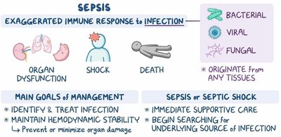 Diagram of sepsis management and progression to shock and death
