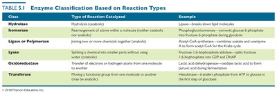 Enzyme classification table