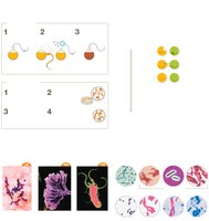Visual summary of microbiology concepts