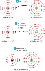 Dissociation of NaCl in water