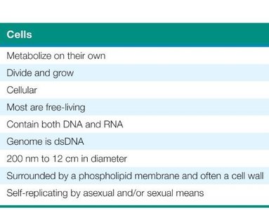 Table comparing properties of cells and viruses