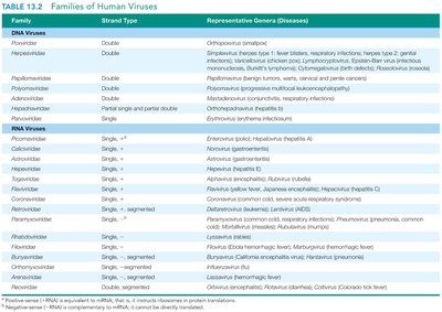Table of families of human viruses and their genome types
