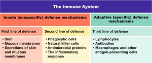 Summary table of innate and adaptive immune system defenses