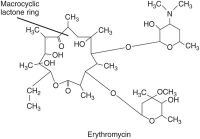Structure of erythromycin