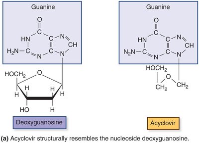 Structure of acyclovir