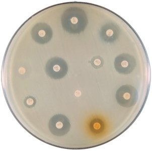 Disk-diffusion method