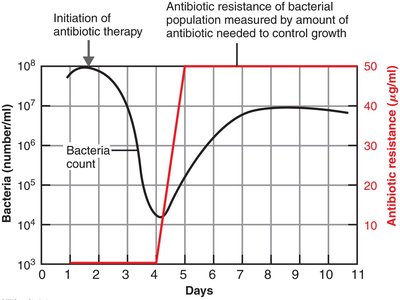 Development of antibiotic-resistant mutant