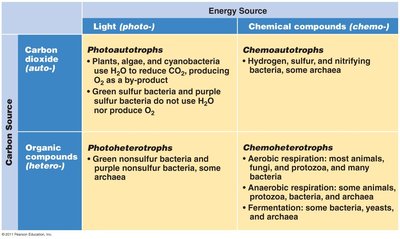 Table of microbial nutritional types