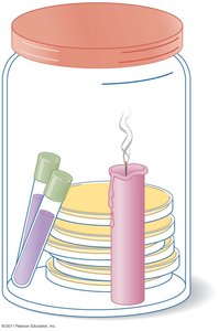 Candle jar for low-oxygen culture