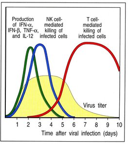 Graph showing time course of immune response to viral infection
