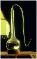 Swan-neck flask used in Pasteur's experiment