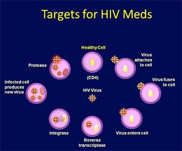 Targets for HIV medications